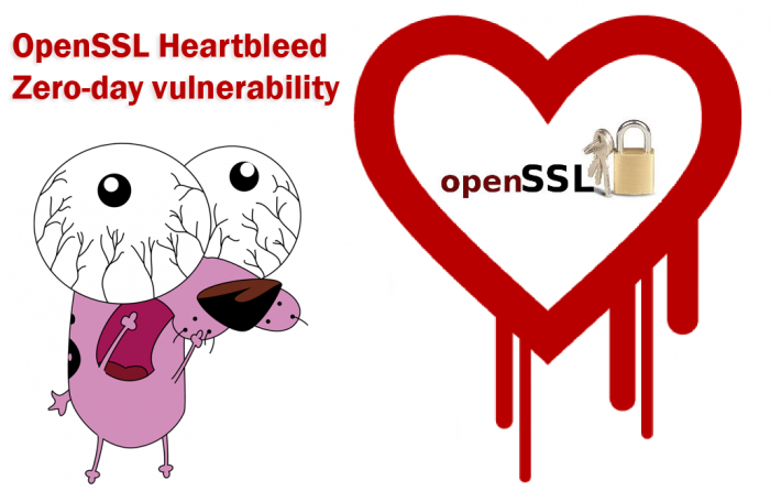OPEN SSL HEARTBLEED